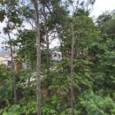 방울산등산로 이미지