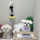 머뭉공간 이미지