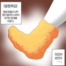 11545-02-36-40 | W.02 | [강릉 웨딩스냅 스튜디오 온기 계약 후기] 강원도 야외 스냅 업체 비교