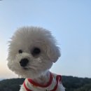 동이몽이 이미지