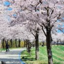 경포천로 이미지