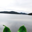 풍요5길 | 군산 구불길 5길 - 물빛길