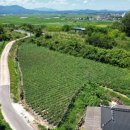 우보공인중개사사무소 이미지