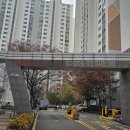 용인시 수지구 풍덕천동 수지태영데시앙아파트 나비형상암막커튼 시공후기 #동대문블라인드추천