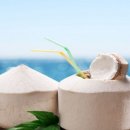 코코넛19 이미지