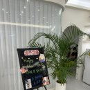 배딱관평점 | 주필라테스&amp;요가 관평점 그룹레슨 후기/시간표있음/필테맛집