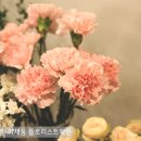 화훼장식(플로리스트) 이미지