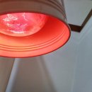 사상당한의원 이미지