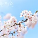 송제한의원 이미지