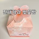 진해구 ⓒ-5 | 진해 빵집 진해제과 선물하기 좋은 벚꽃빵 가격 보관방법 내돈내산 후기