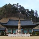 공주깃털 이미지