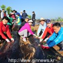 목화자원 이미지