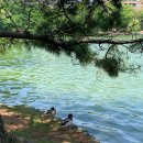 주공마트자판기 - 문경시 | [후쿠오카] 짧굵 후쿠오카 여행
