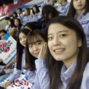 윙고(WINGO) 이미지