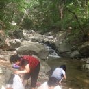 진남 농장 이미지