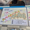 GS25대공원리프트점 | 서울근교 아기랑 갈만한곳 과천 서울대공원 동물원 운영시간·입장료·코끼리열차·리프트 꿀팁