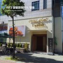 올리비아잉글리시 | 부천 상동 카페 | 오틀리샷 본점, 선인장 정원부터 핑크 뮬리까지 인생 포토존이 가득한 베이커리 카페