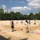 양영초등학교 이미지