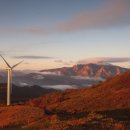 월출목장 이미지