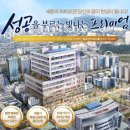 세종MVG 이미지