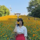 대자연어린이집 | 꿈을 놓지 않을 거예요.