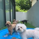 멍설유치원 | 멍설유치원 선택 전 먼저 볼 핵심 정보 정리