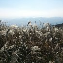천관산도립공원관리사무소 이미지