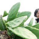 성지골 농장 이미지