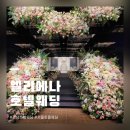 투어 호텔 | 서울호텔웨딩 엘리에나호텔 투어 후기 주차 식대 대관료 견적 공유