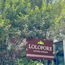 로로포레 이미지