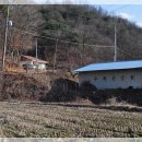 수복건강원 - 익산시 인북로8길 10 | 수복건강원