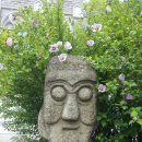 무궁화 꽃이 피었습 이미지