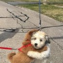 신세계의원 이미지