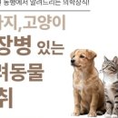 도곡동행동물병원 이미지