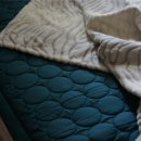 라디언스(주) 이미지