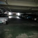 강남동로 이미지