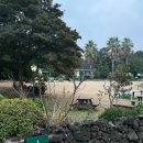 운동장화장실(서쪽) | 제주도 애견동반 숙소 내돈내산 가성비 좋은 숲속쉼