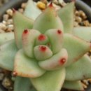 동운농장 이미지