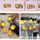 운광초교(병설) 네이버블로그