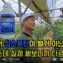 김옥수농장 이미지