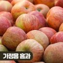 밀도