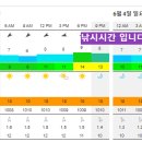 (예약완료).....6월3일 토요일 통영 대마도권 중 대갈치 /한치 이미지