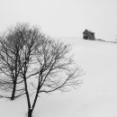 사계절풍경 이미지