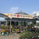 당진푸른꽃화원