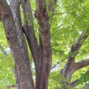 반여1동-6 이미지