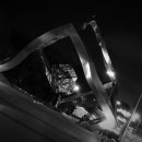 양정어린이공원 이미지