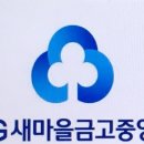 새수성 이미지
