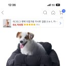 강아지 카시트 쓰는 오리들 브랜드 추천좀! 이미지