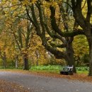 신트리공원 농구장 이미지