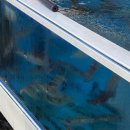 성춘식당 이미지